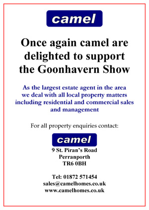 camel-21013
