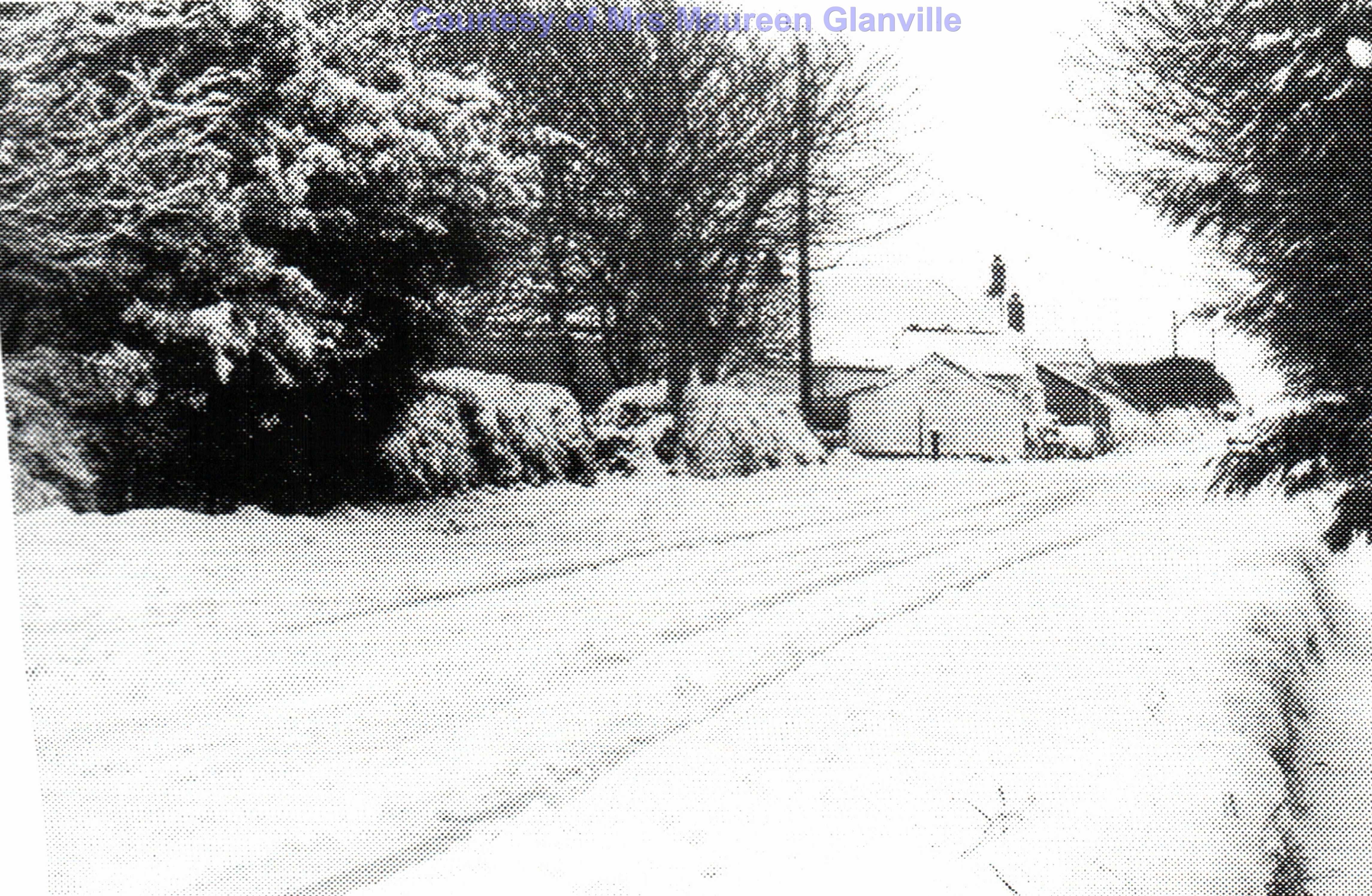 Rose Village in Snow - Jan 1986