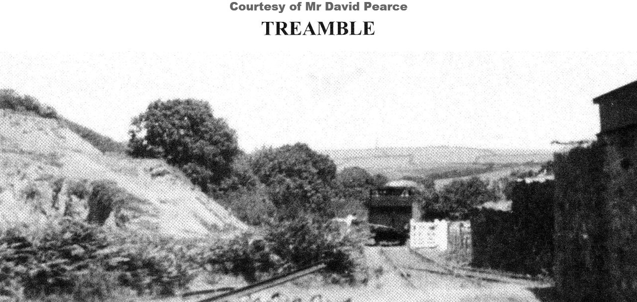 Treamble branch (2)