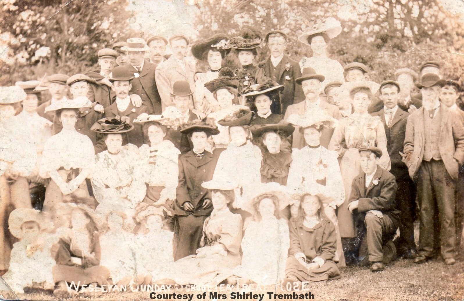 Wesleyan Sunday School Tea Treat Rose - Circa 1906